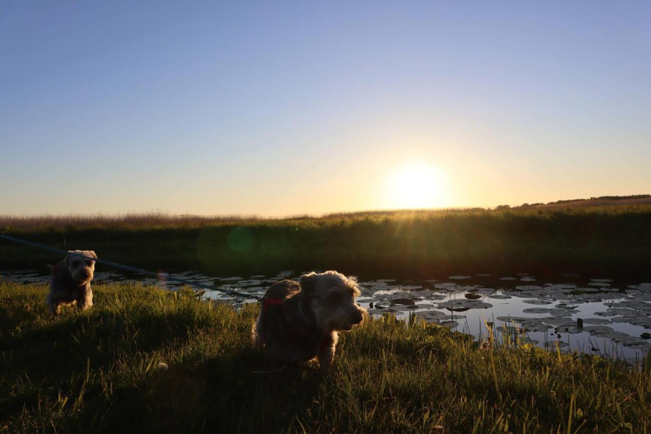 Agroturystyka Gardna Wielka Exteriér fotografie